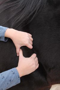 Osteopath f&uuml;r Tiere in Heiligenroth - Tierosteopathie Marie-Th&eacute;r&egrave;se Sill